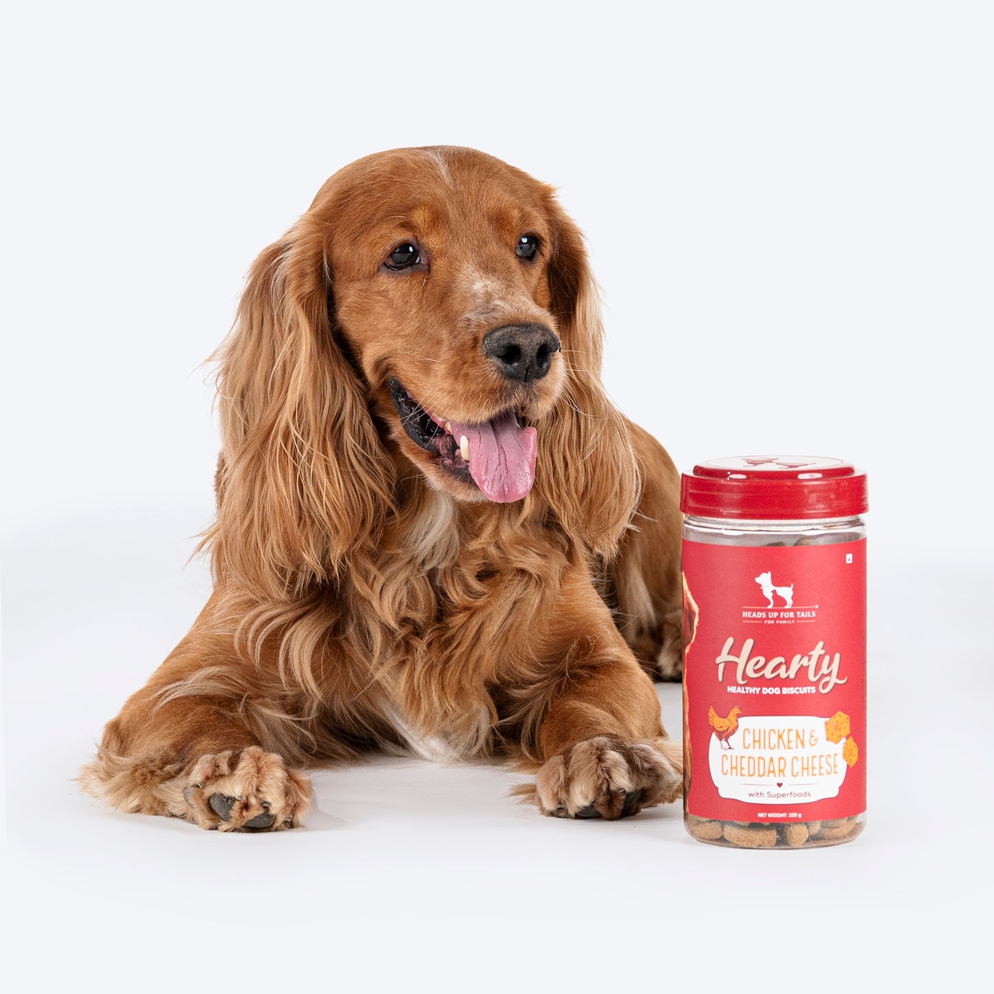 Hearty Biscuits Twin Pack - With Chicken, Cheddar Cheese & Cranberries - 640 gm - Heads Up For Tails
