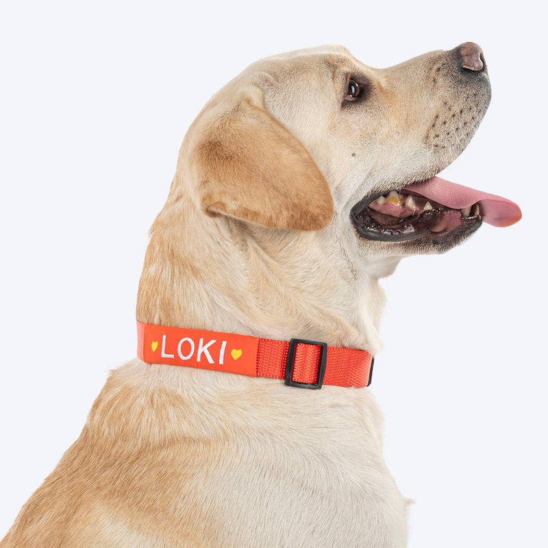 HUFT Personalised Classic Dog Collar - Rust Orange - Heads Up For Tails