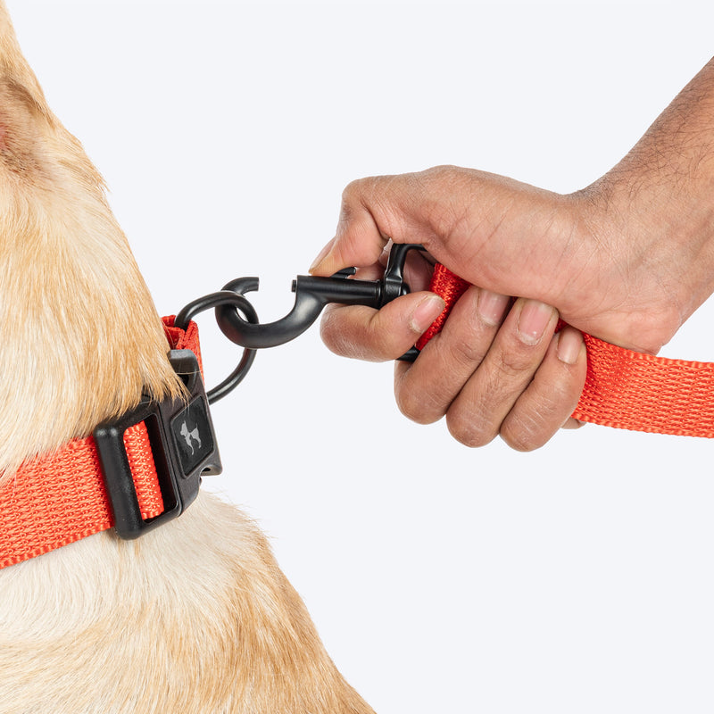 HUFT Personalised Classic (Mobile No.) Dog Collar - Rust Orange - Heads Up For Tails