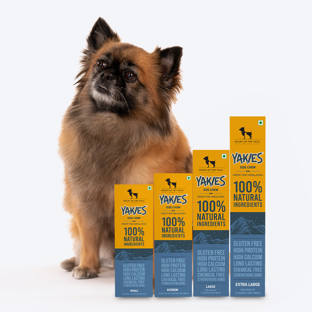 HUFT Yakies Vegetarian Natural Chew Bone - Old GS - Heads Up For Tails