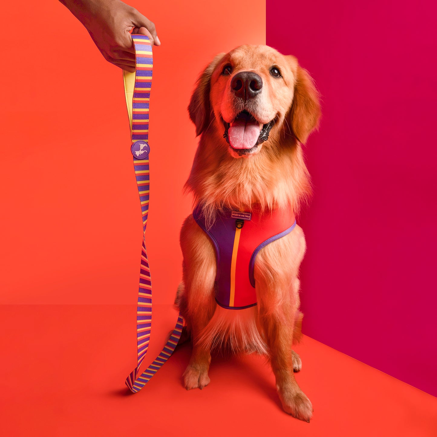 HUFT Sunny Stride Printed Dog Leash - Heads Up For Tails