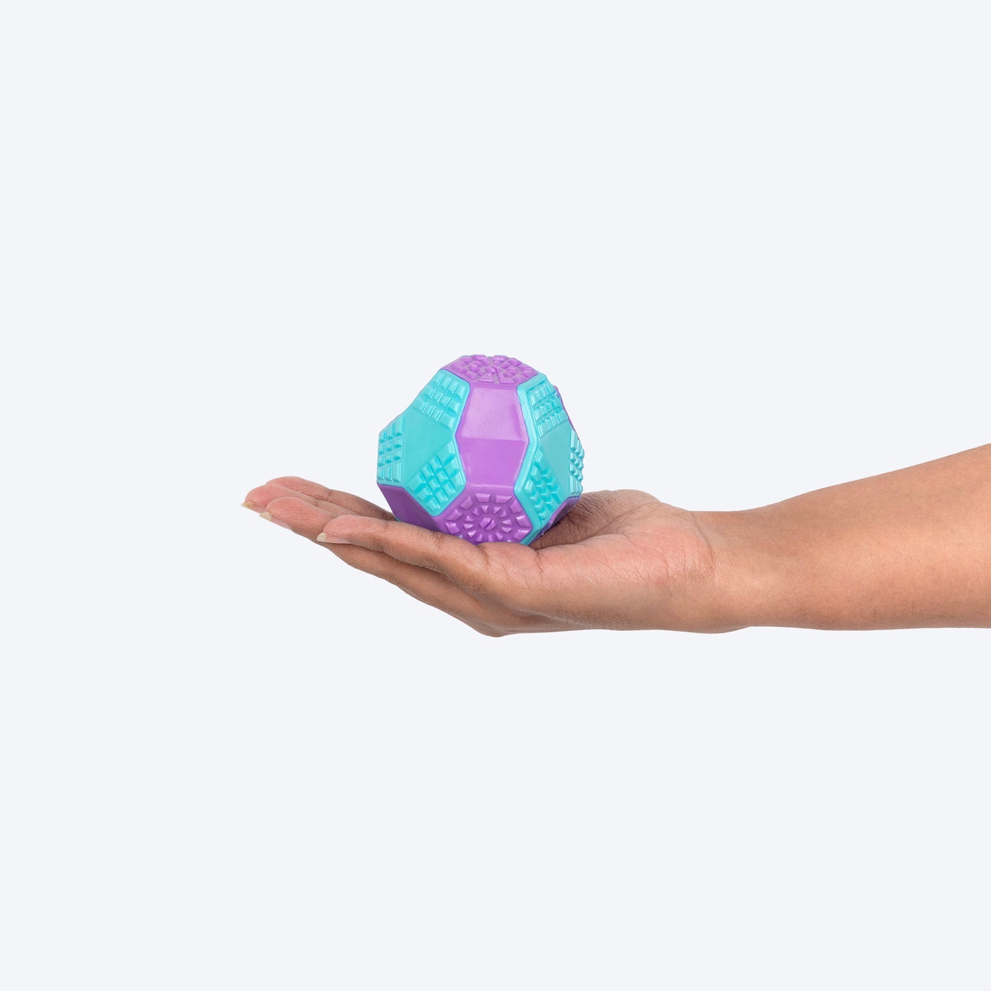Dash Dog Grip & Go Squeaky Ball For Dog - Purple & Blue