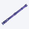 Dash Dog Dotty Padded Collar For Dog - Purple - Heads Up For Tails