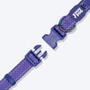 Dash Dog Dotty Padded Collar For Dog - Purple - Heads Up For Tails