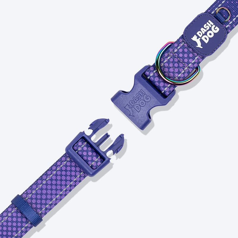 Dash Dog Dotty Padded Collar For Dog - Purple - Heads Up For Tails