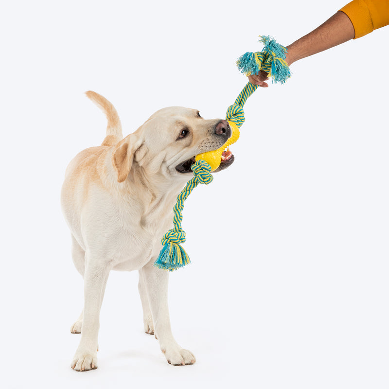 HUFT Tuggables Silly Strings Rope Toy For Dog - Blue & Yellow - Heads Up For Tails
