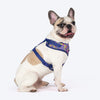 Dash Dog Pixel Easy Walk Harness For Dog - Purple - Heads Up For Tails