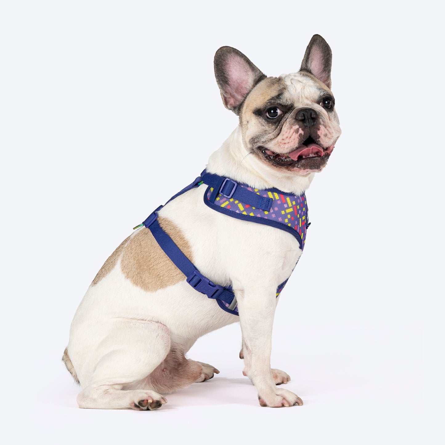 Dash Dog Pixel Easy Walk Harness For Dog - Purple - Heads Up For Tails
