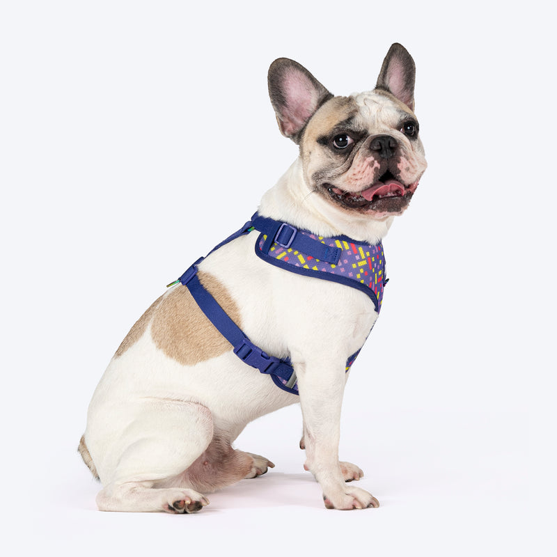 Dash Dog Pixel Easy Walk Harness For Dog - Purple - Heads Up For Tails