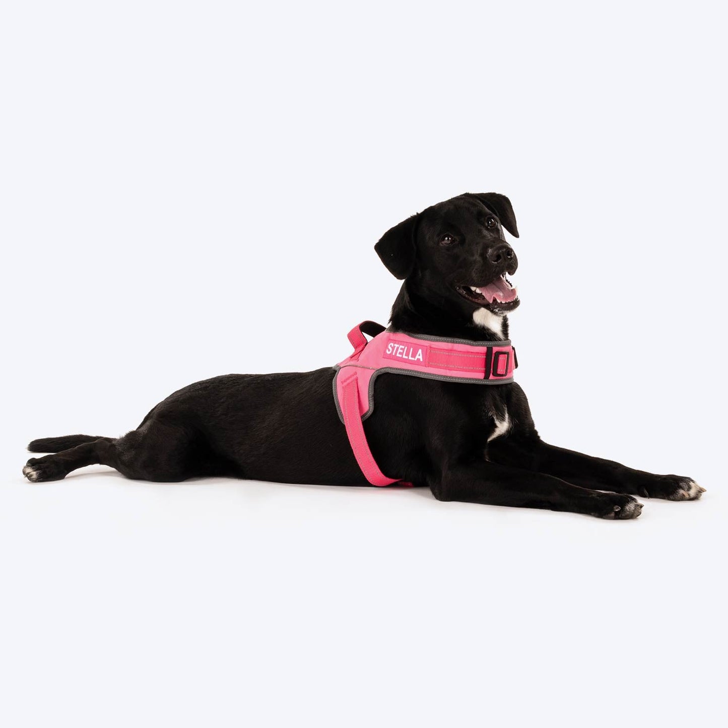 HUFT Easy On Dog Harness - Pink (Can be Personalised) - Heads Up For Tails