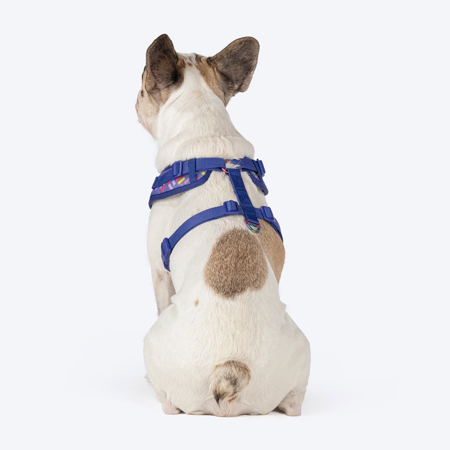 Dash Dog Pixel Easy Walk Harness For Dog - Purple - Heads Up For Tails