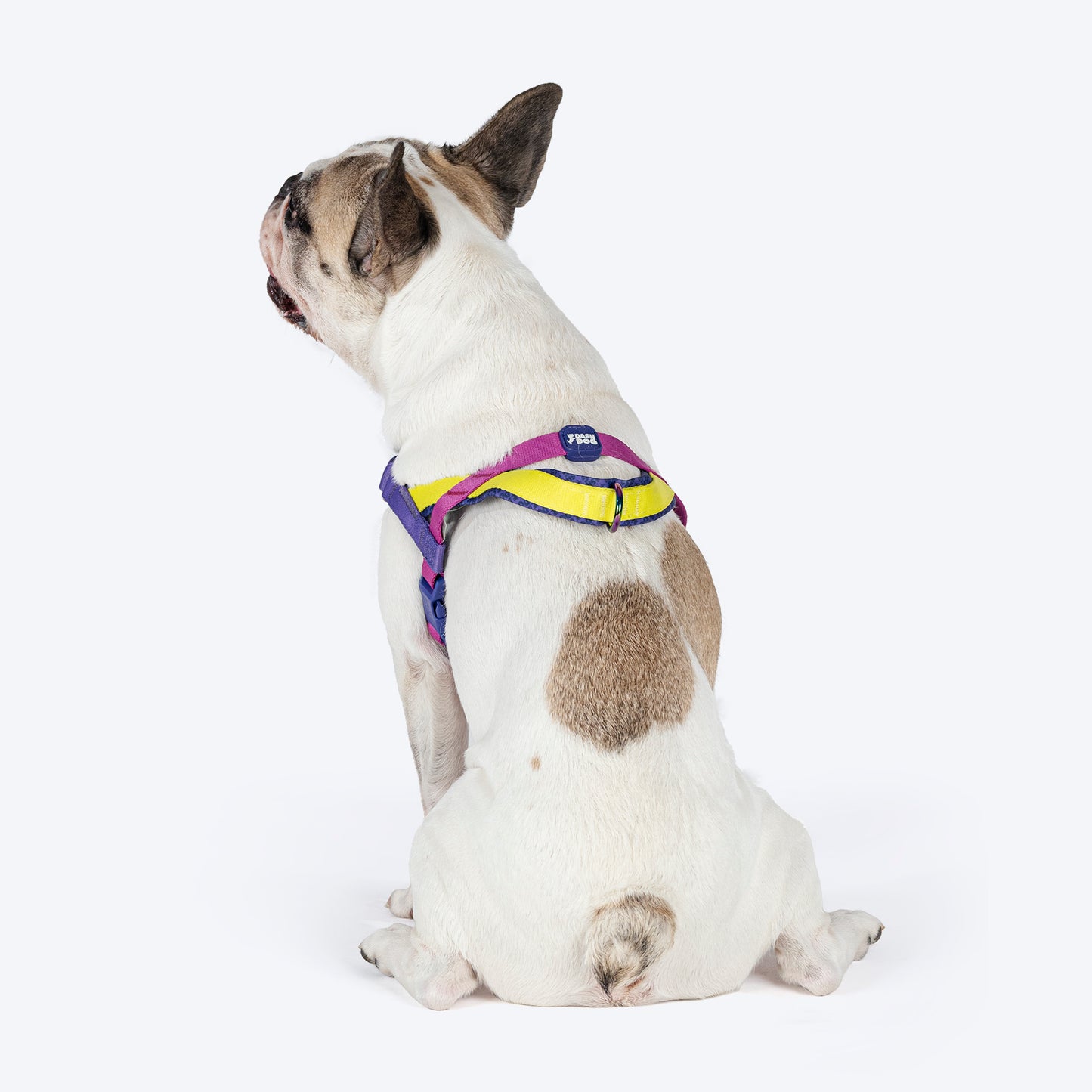 Dash Dog On-The-Go Harness For Dog - Yellow - Heads Up For Tails