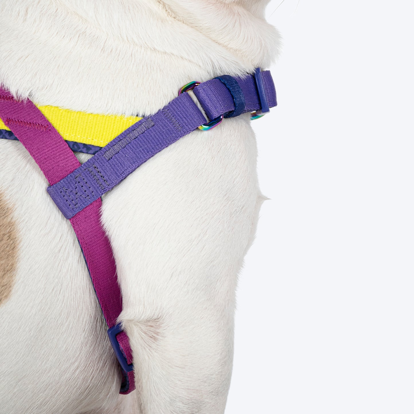 Dash Dog On-The-Go Harness For Dog - Yellow - Heads Up For Tails
