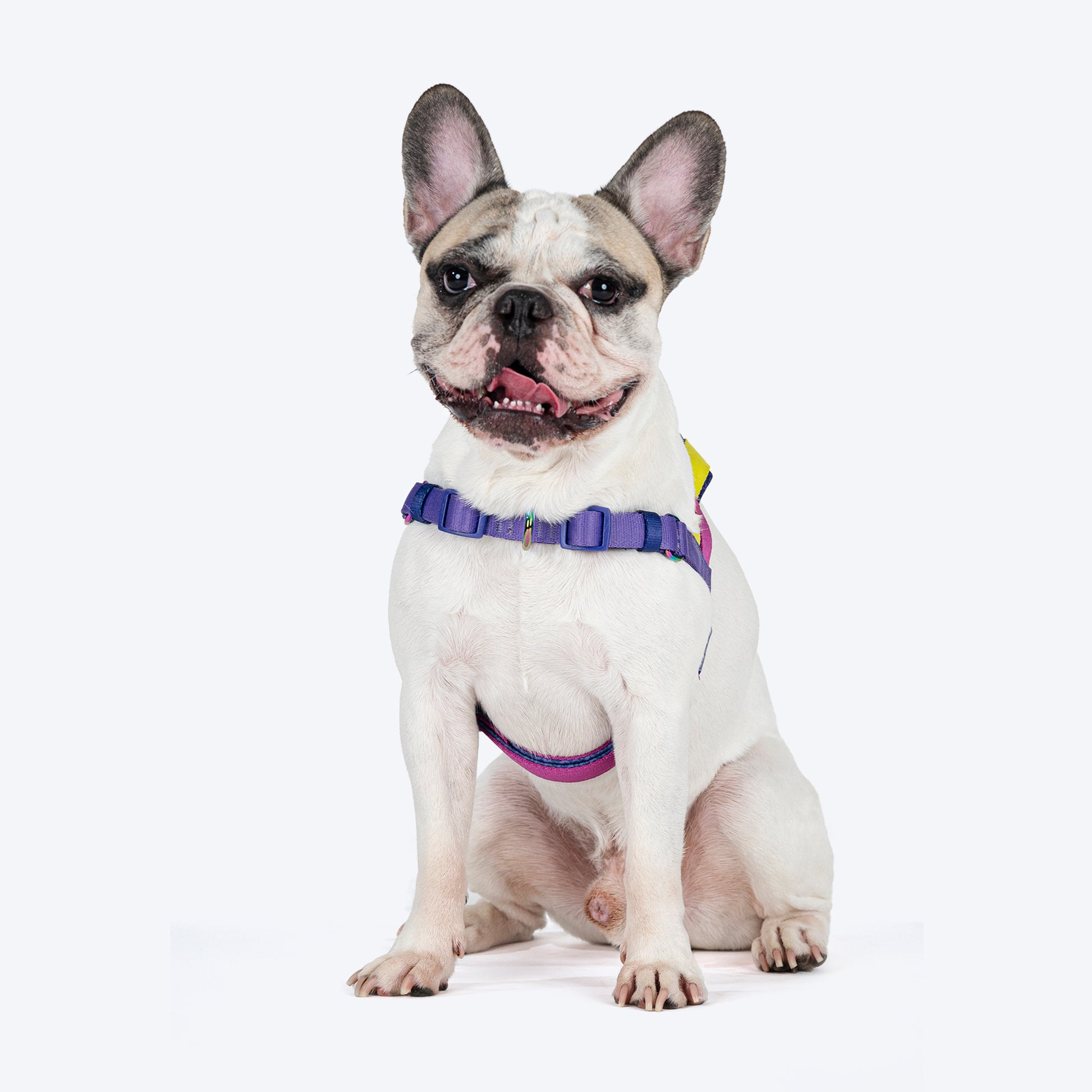 Dash Dog On-The-Go Harness For Dog - Yellow - Heads Up For Tails