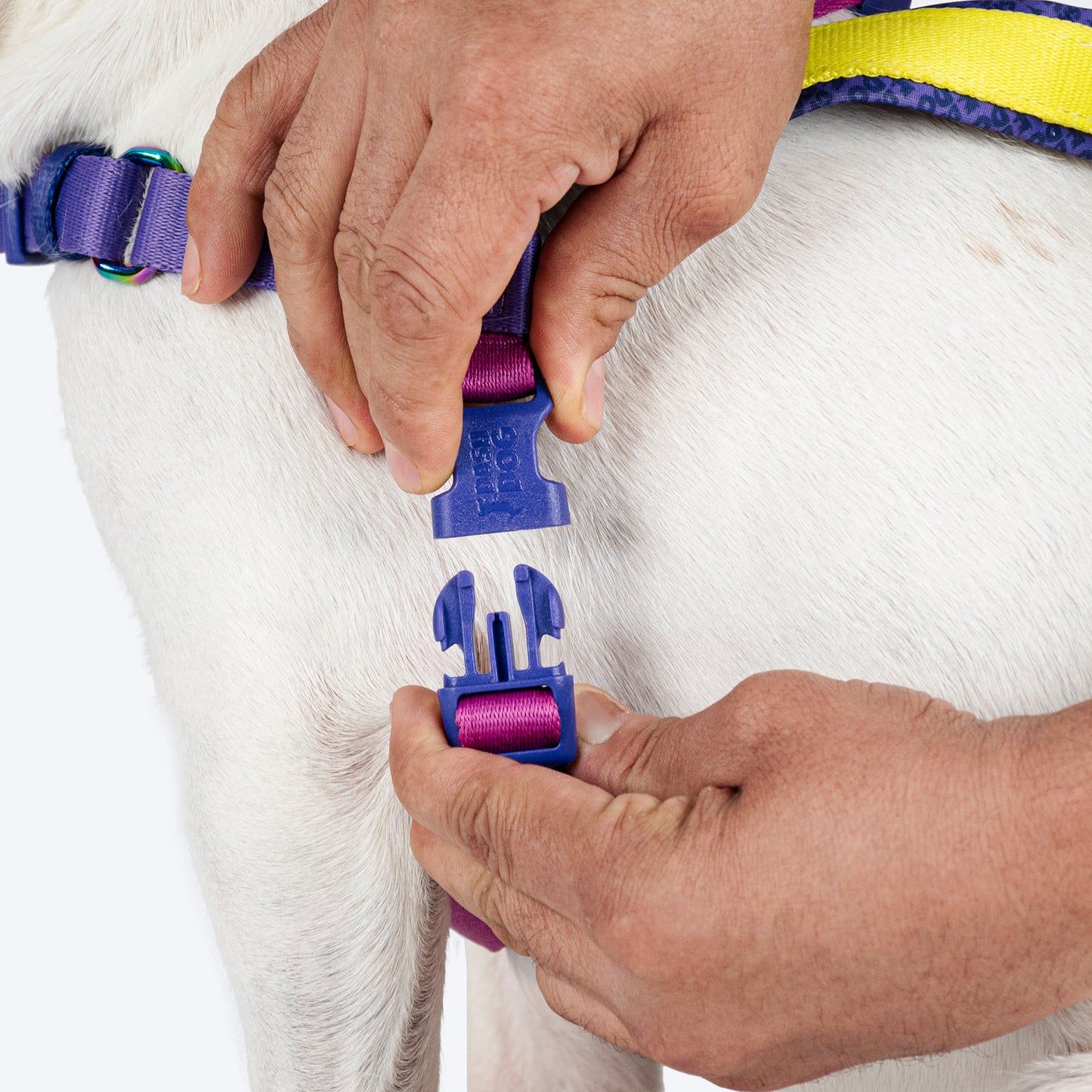 Dash Dog On-The-Go Harness For Dog - Yellow - Heads Up For Tails