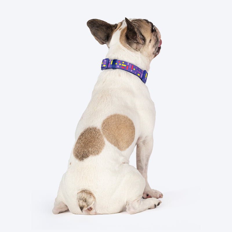 Dash Dog Pixel Padded Collar For Dog - Purple - Heads Up For Tails