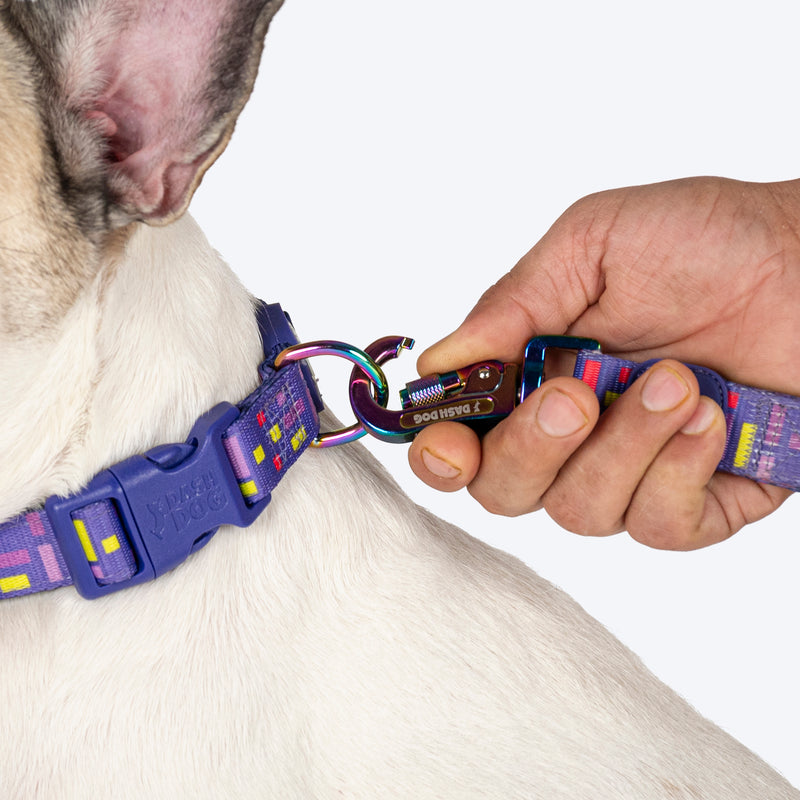 Dash Dog Pixel Padded Collar For Dog - Purple - Heads Up For Tails