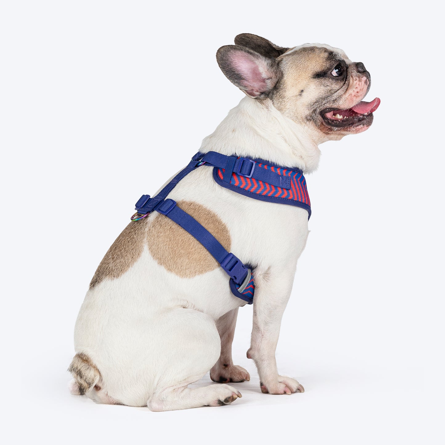 Dash Dog Chevron Easy Walk Harness For Dog - Purple - Heads Up For Tails