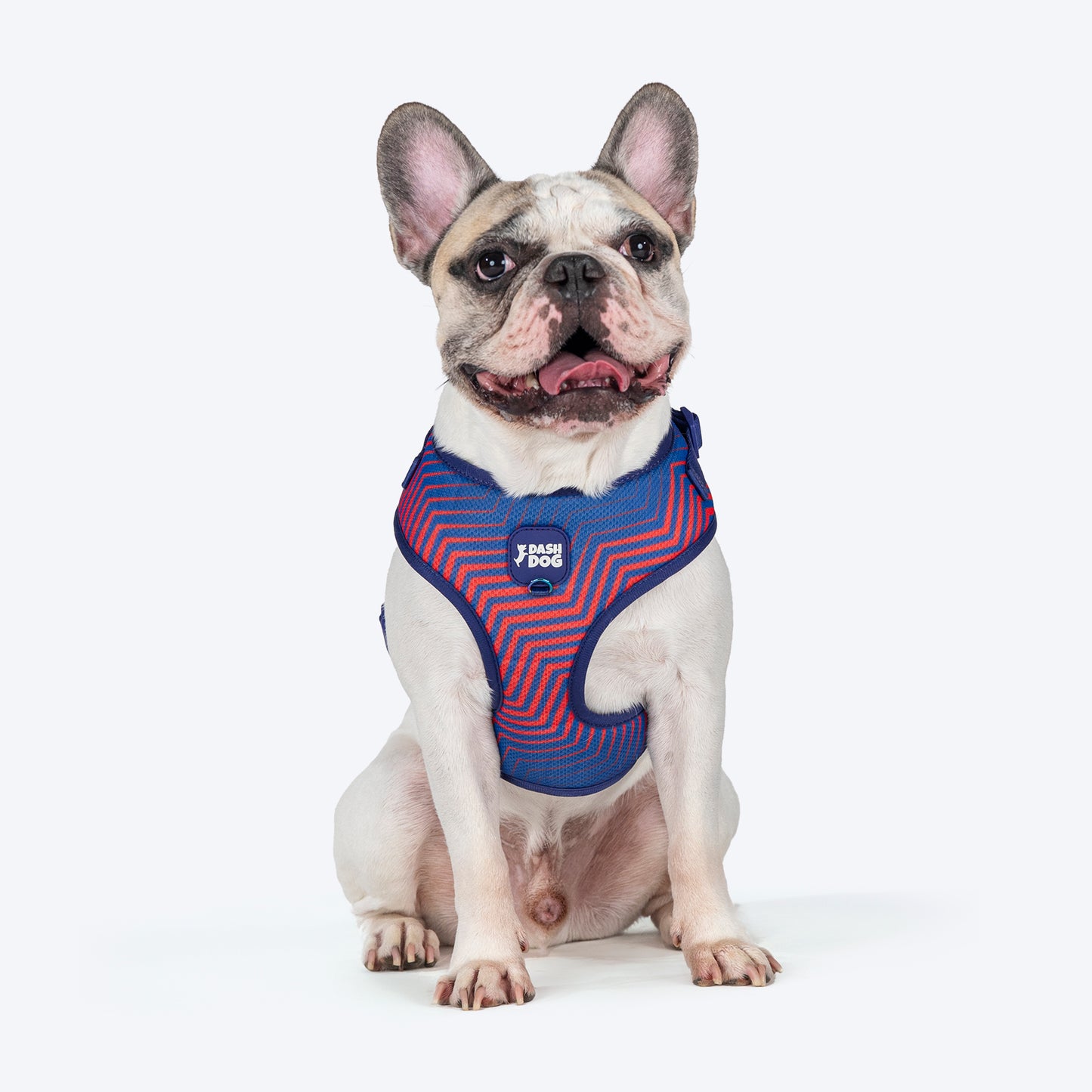 Dash Dog Chevron Easy Walk Harness For Dog - Purple - Heads Up For Tails