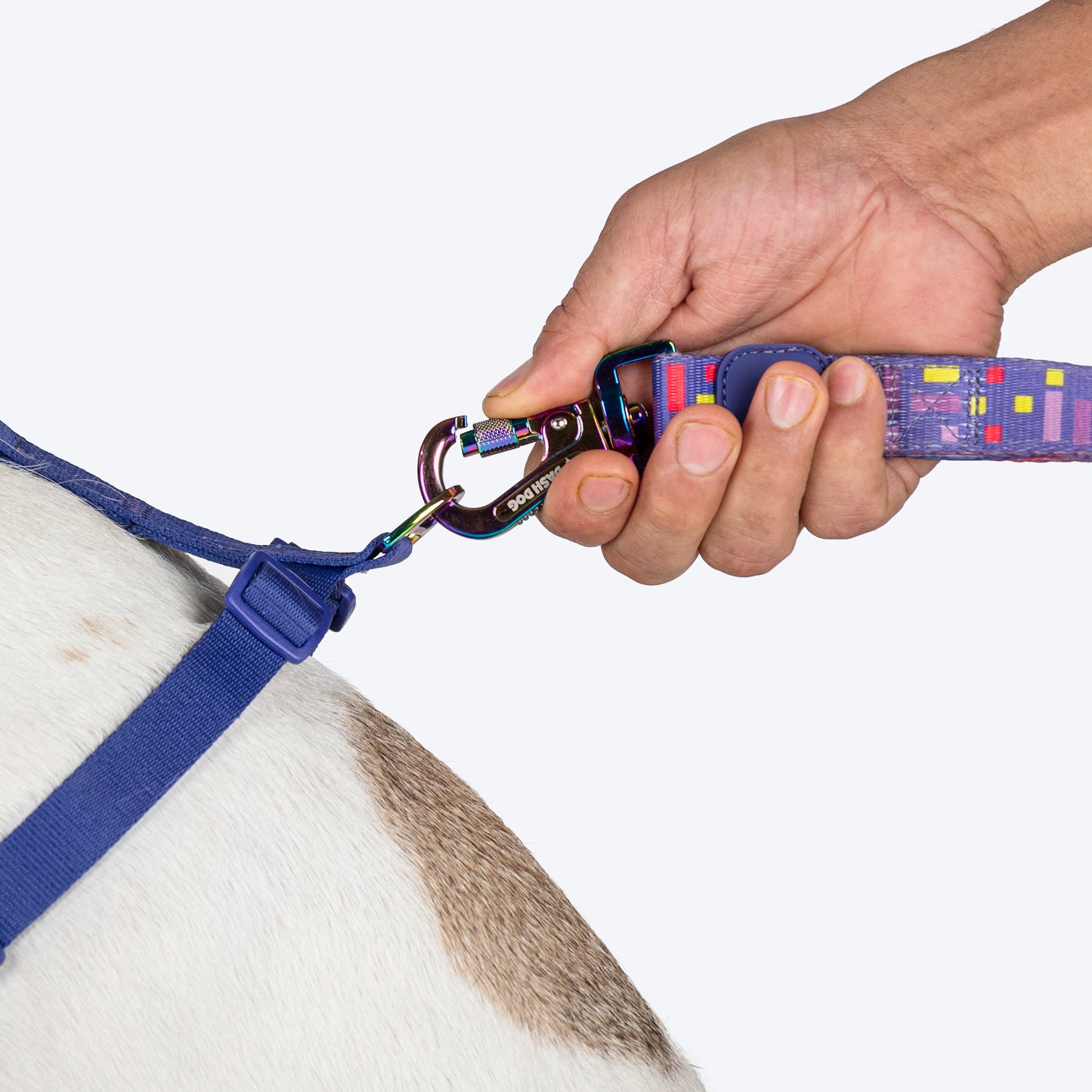 Dash Dog Chevron Easy Walk Harness For Dog - Purple - Heads Up For Tails