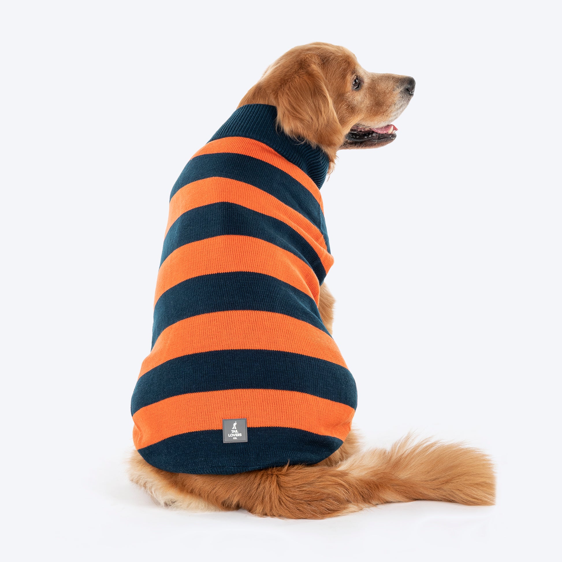 TLC Pumpkin Patch Sweater For Dog - Orange & Navy Blue - Heads Up For Tails
