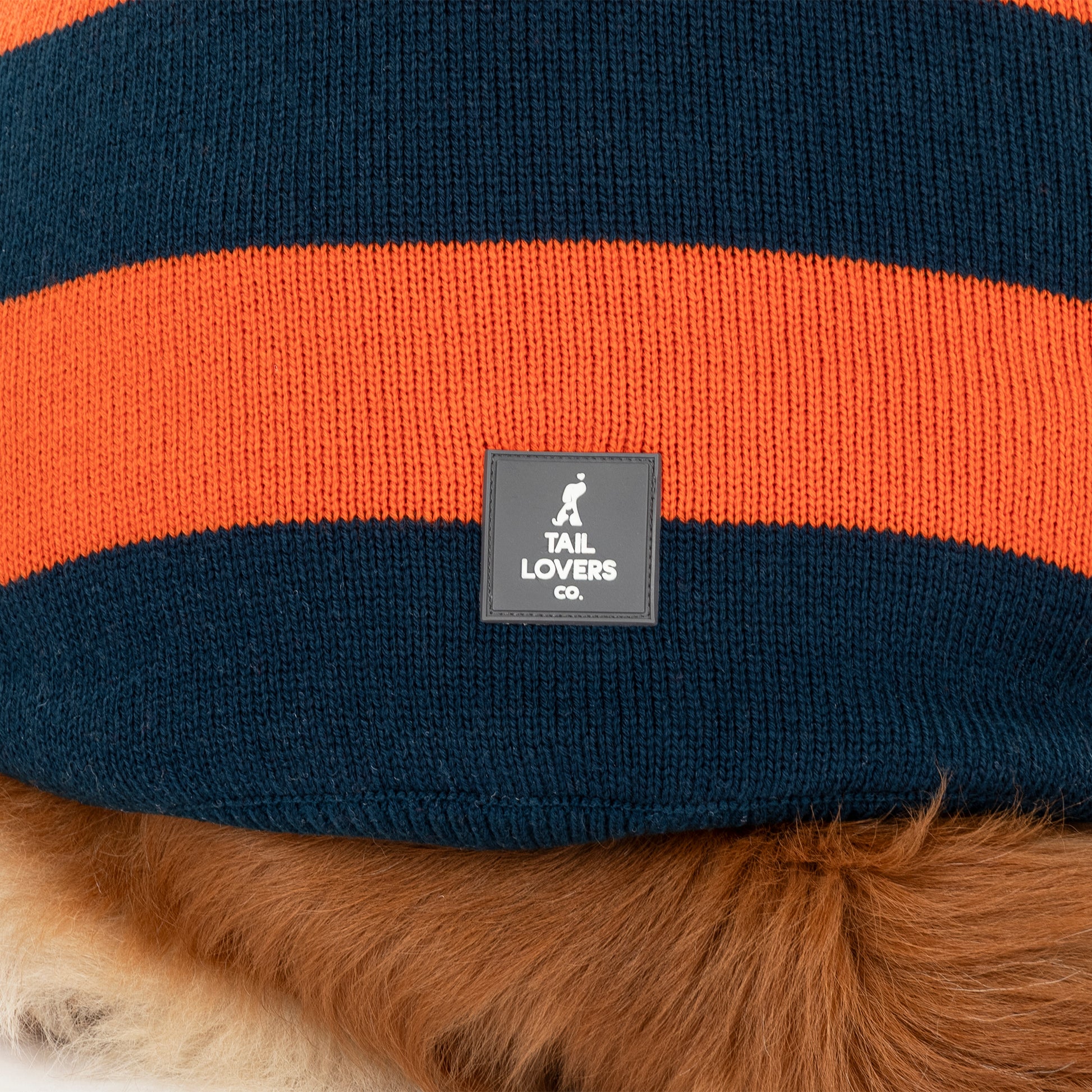 TLC Pumpkin Patch Sweater For Dog - Orange & Navy Blue - Heads Up For Tails