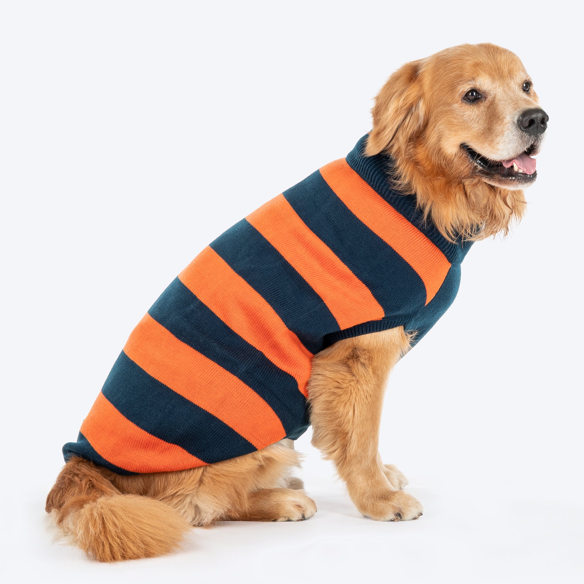 TLC Pumpkin Patch Sweater For Dog - Orange & Navy Blue - Heads Up For Tails