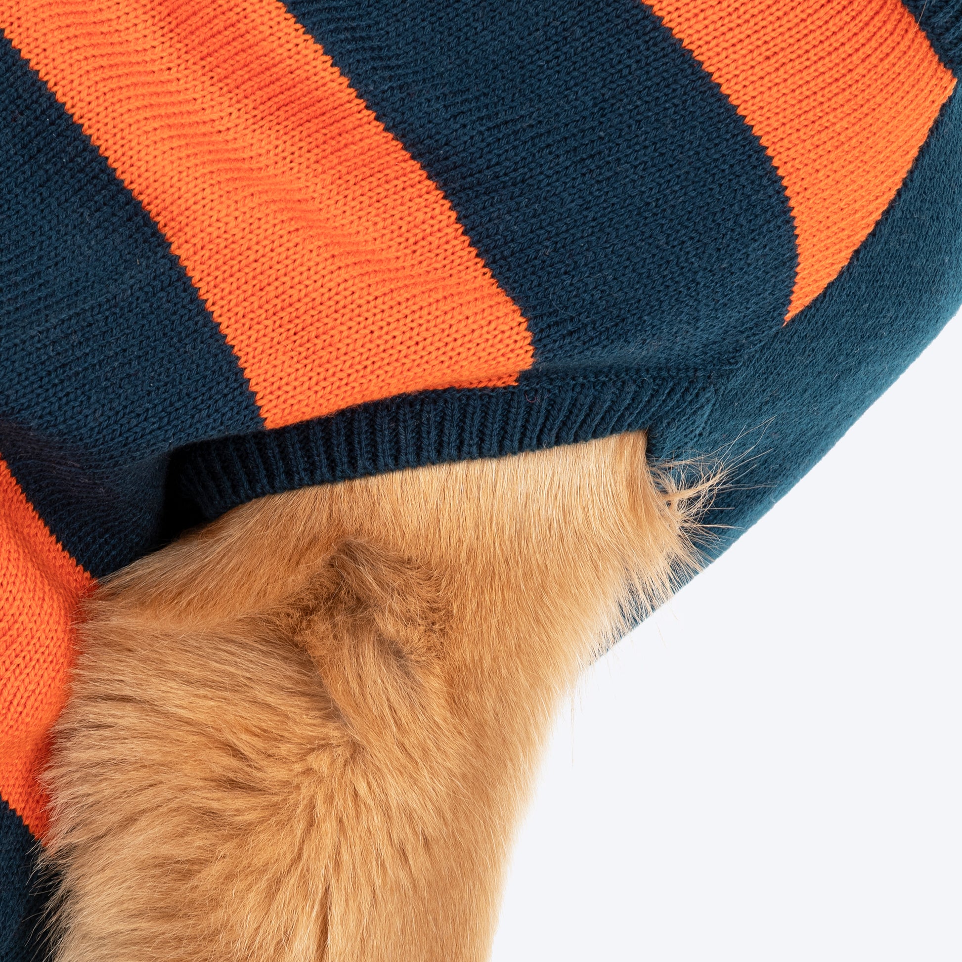 TLC Pumpkin Patch Sweater For Dog - Orange & Navy Blue - Heads Up For Tails