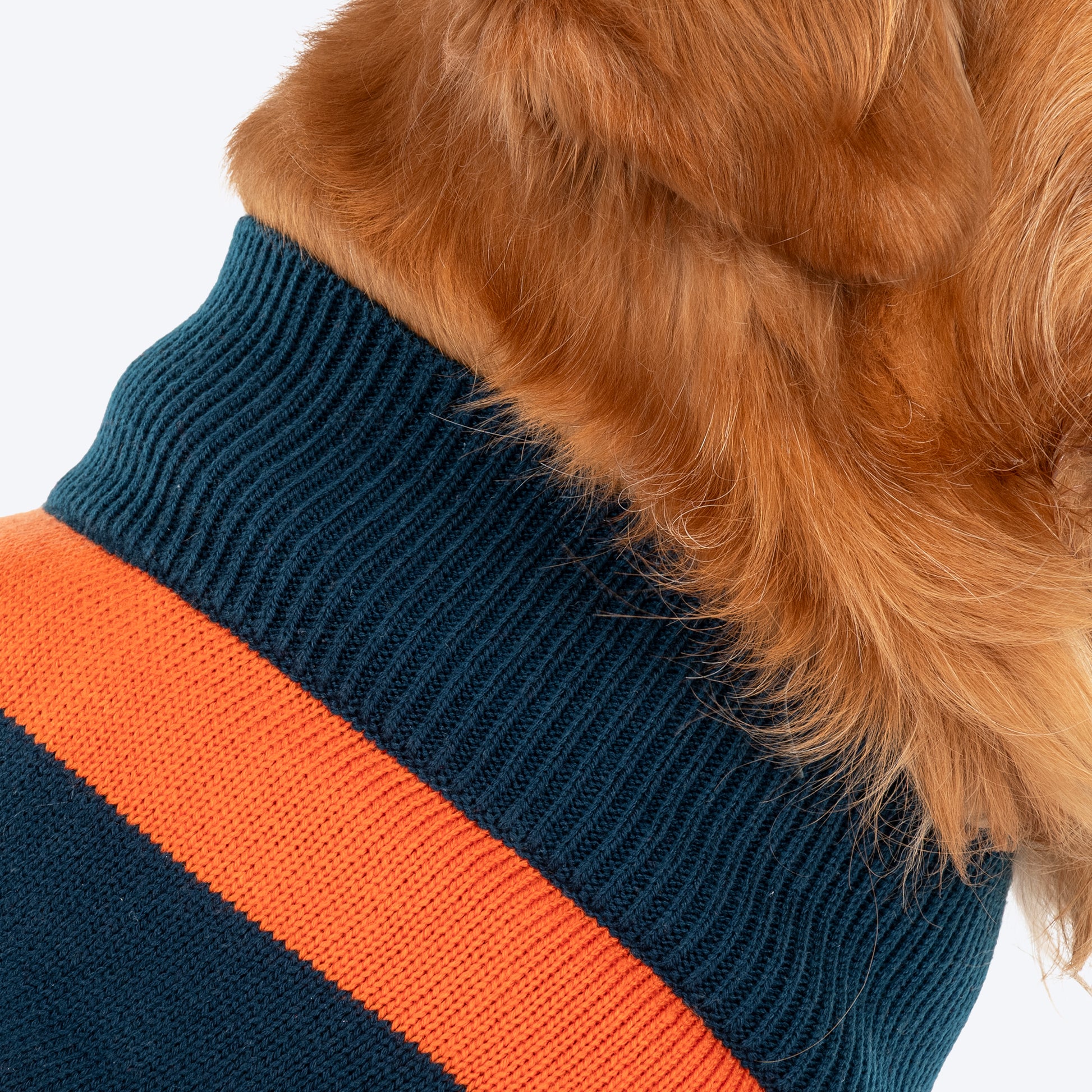 TLC Pumpkin Patch Sweater For Dog - Orange & Navy Blue - Heads Up For Tails