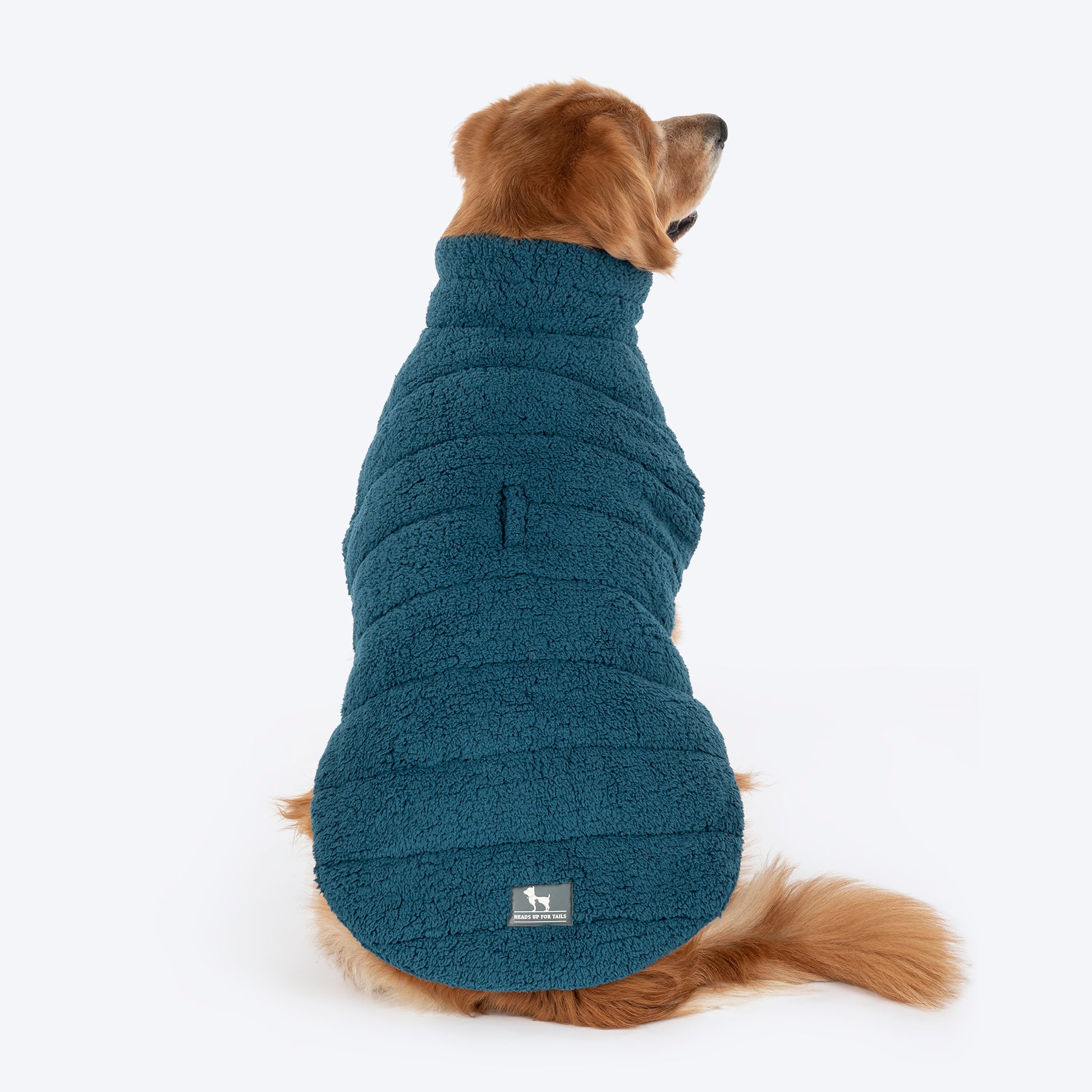 HUFT Cloudy Comfort Jacket For Big Dog - Peacock Blue - Heads Up For Tails