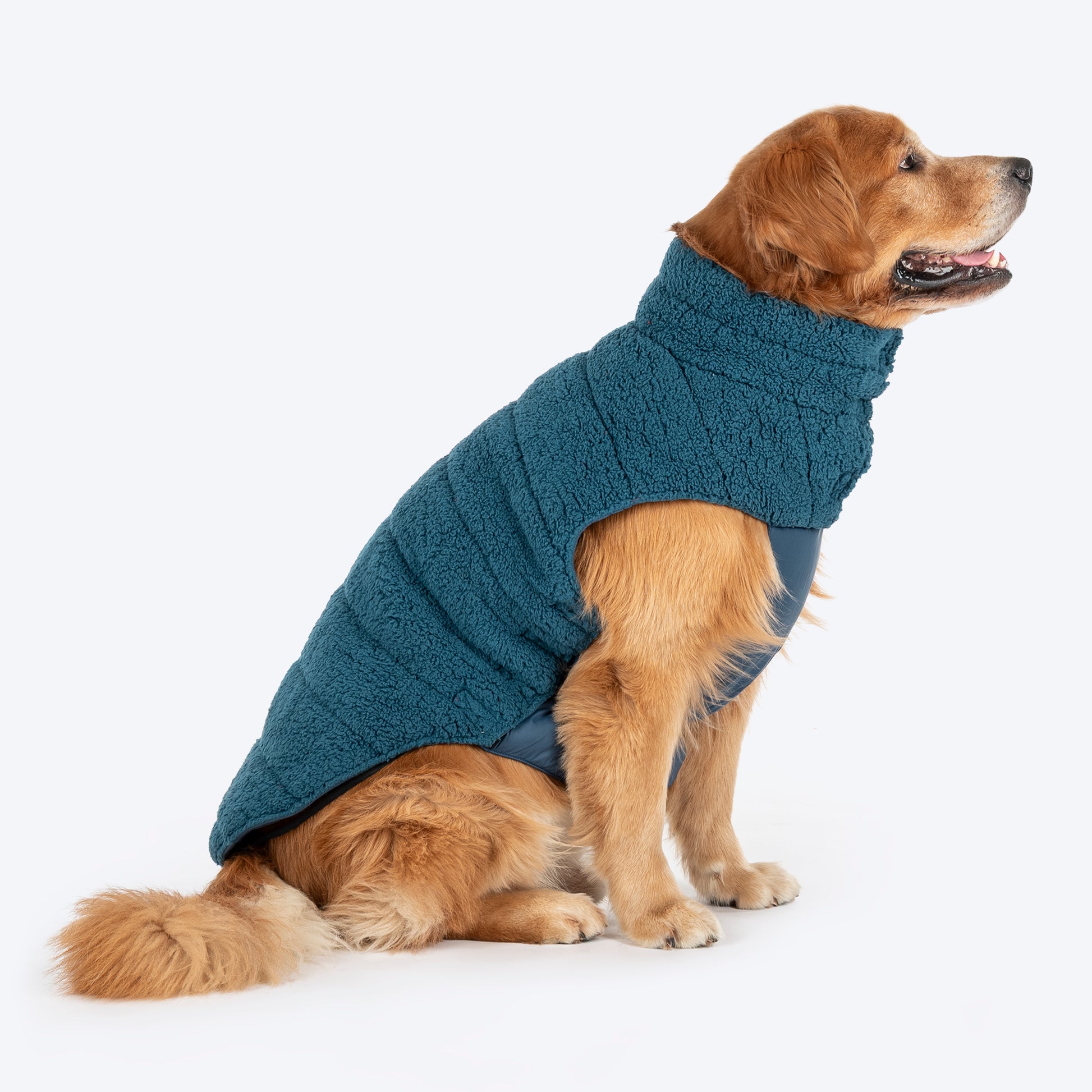 HUFT Cloudy Comfort Jacket For Big Dog - Peacock Blue - Heads Up For Tails