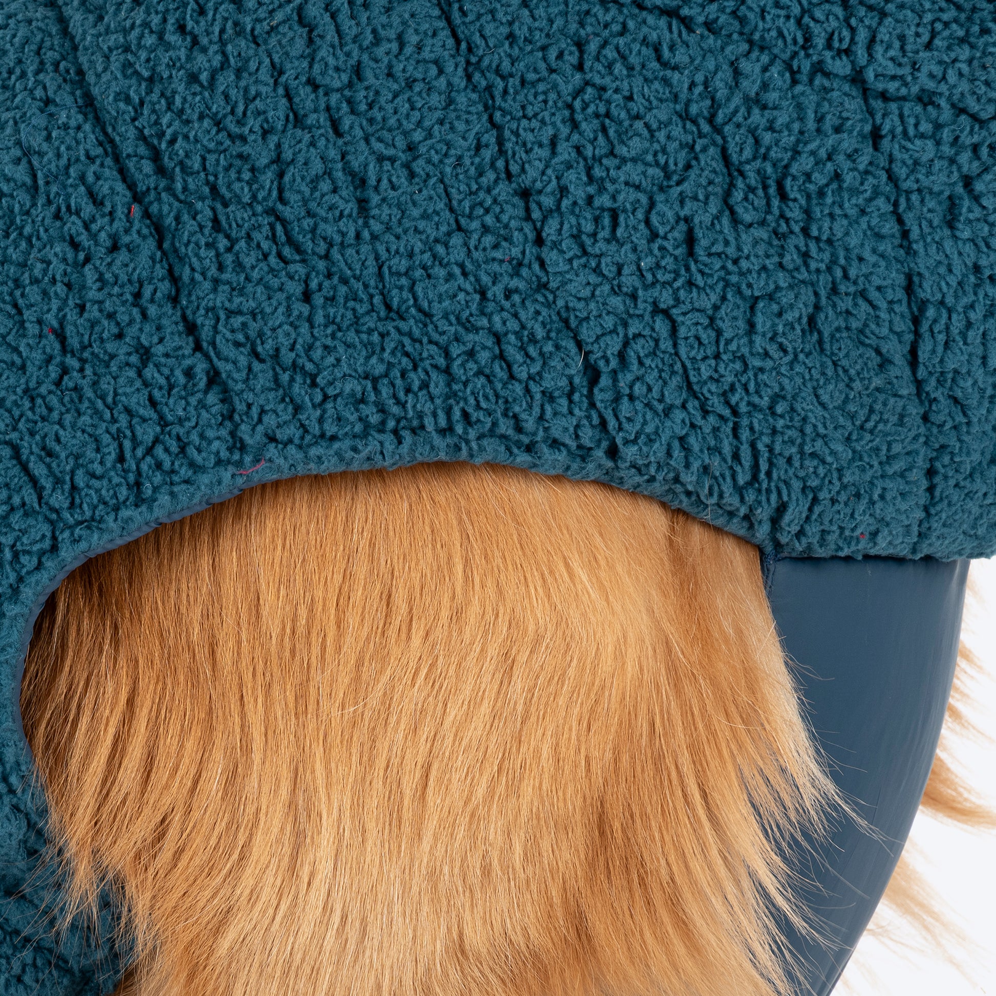 HUFT Cloudy Comfort Jacket For Big Dog - Peacock Blue - Heads Up For Tails