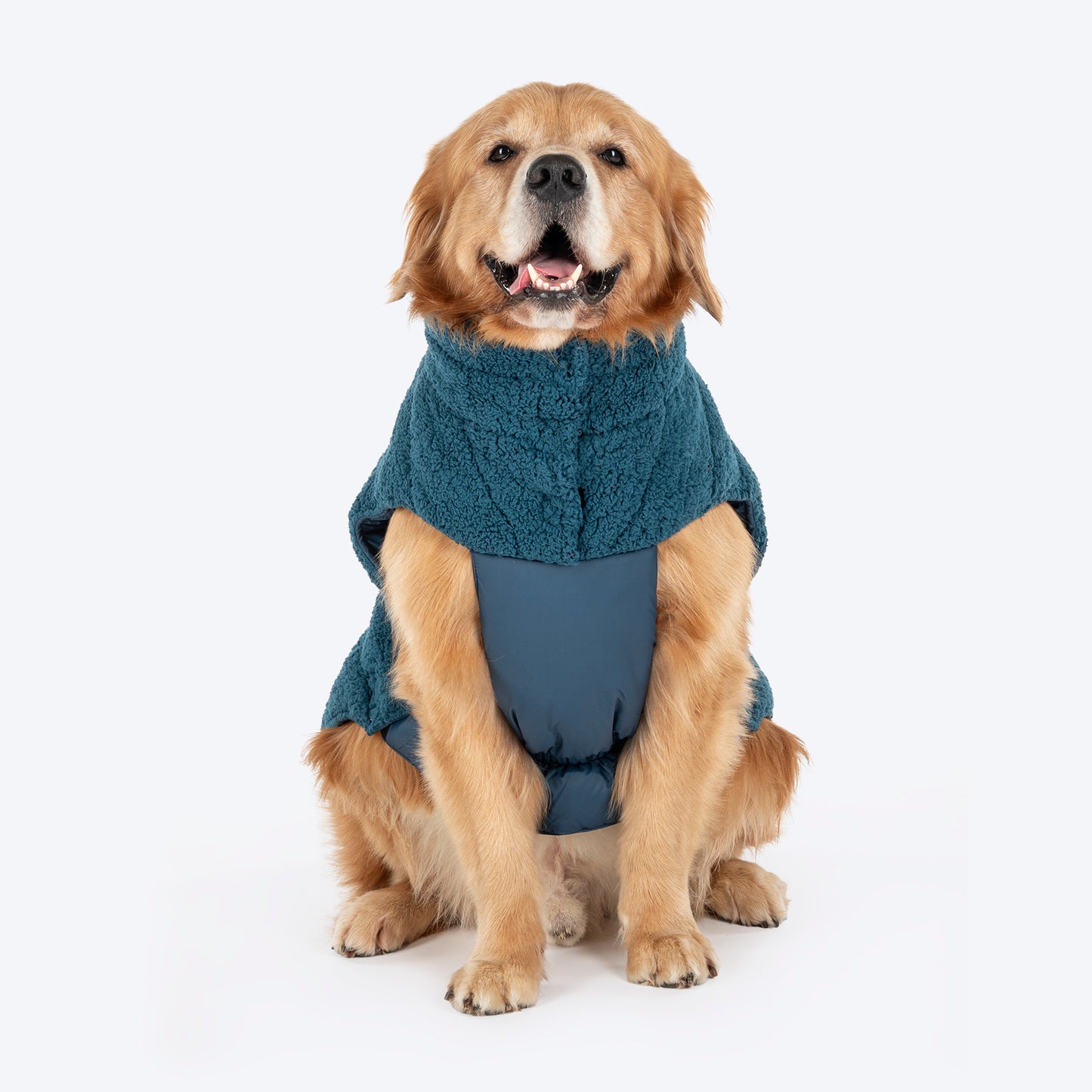 HUFT Cloudy Comfort Jacket For Big Dog - Peacock Blue