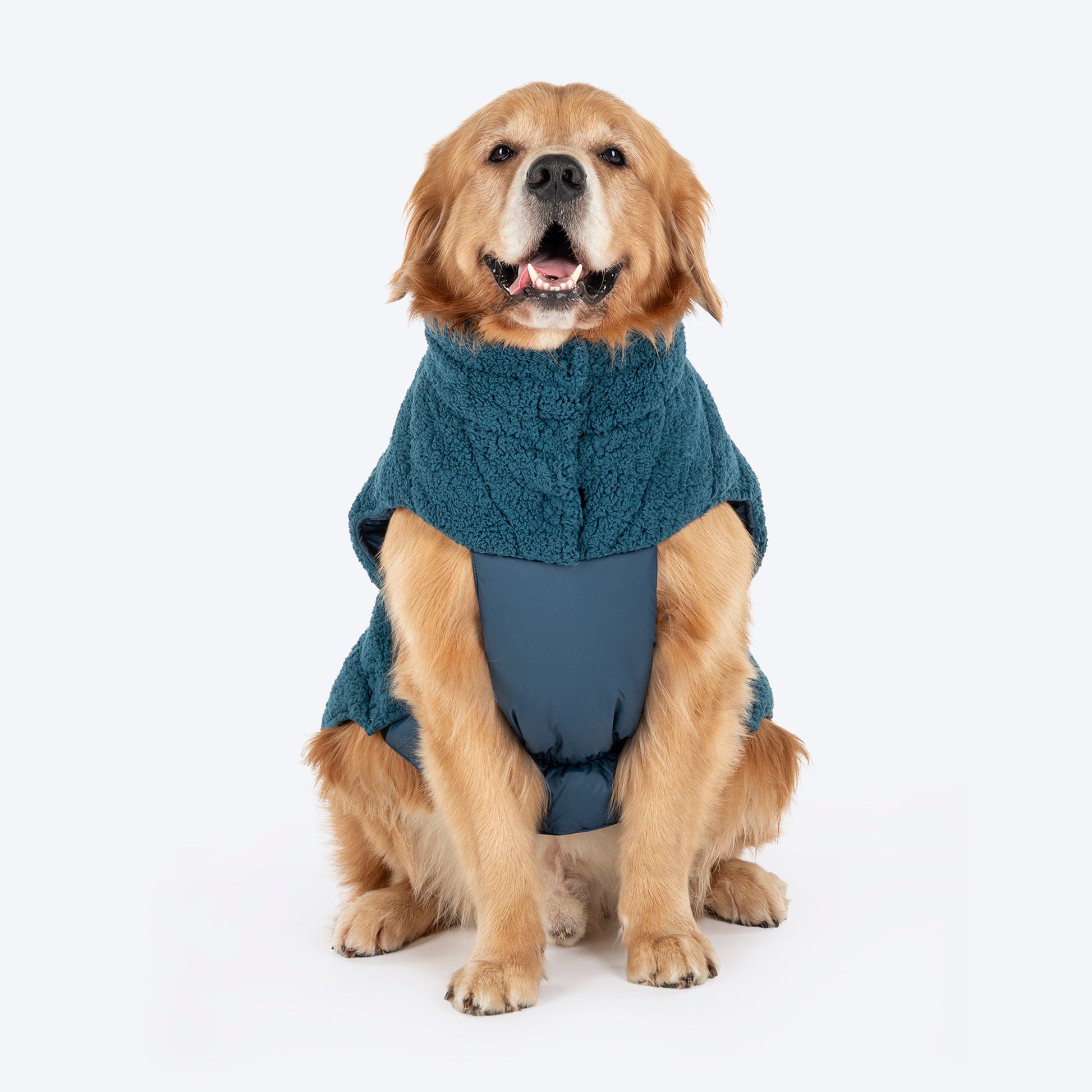 HUFT Cloudy Comfort Jacket For Big Dog - Peacock Blue - Heads Up For Tails