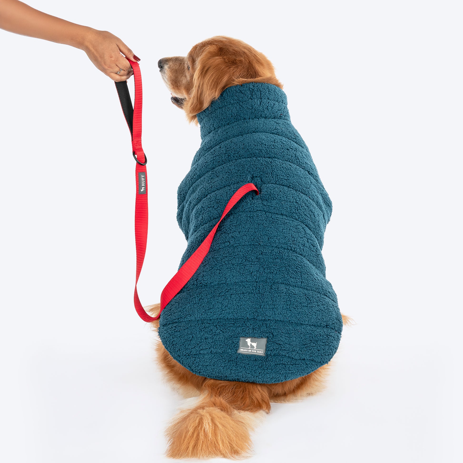HUFT Cloudy Comfort Jacket For Big Dog - Peacock Blue - Heads Up For Tails