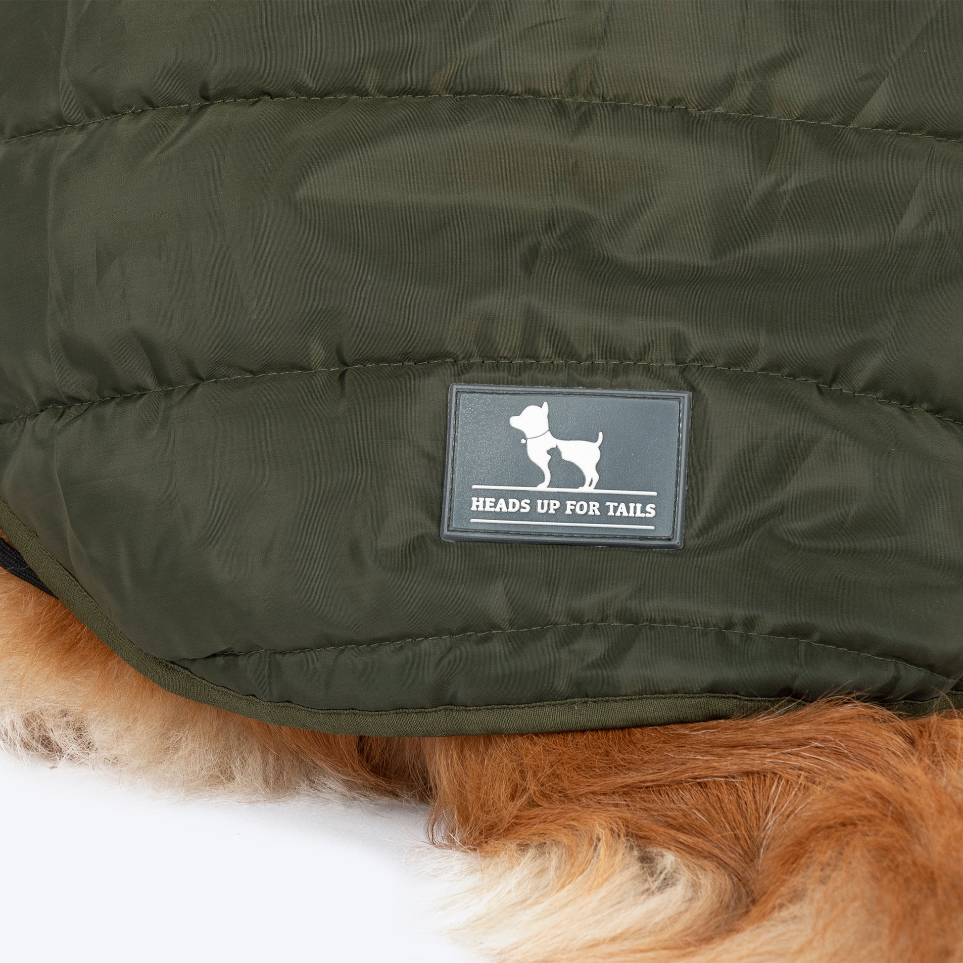 HUFT Puffer Paws Jacket For Big Dog - Green - Heads Up For Tails