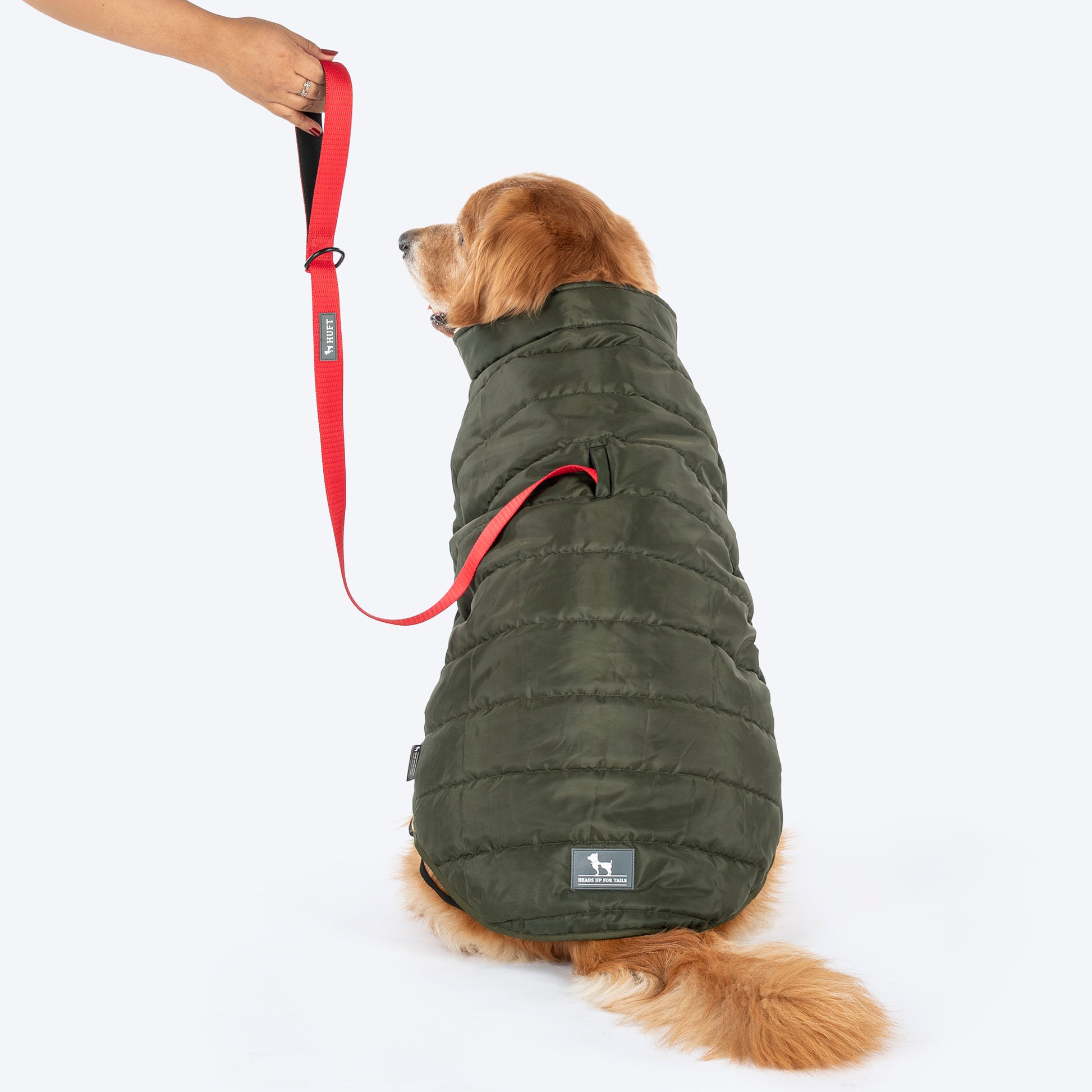 HUFT Puffer Paws Jacket For Big Dog - Green - Heads Up For Tails