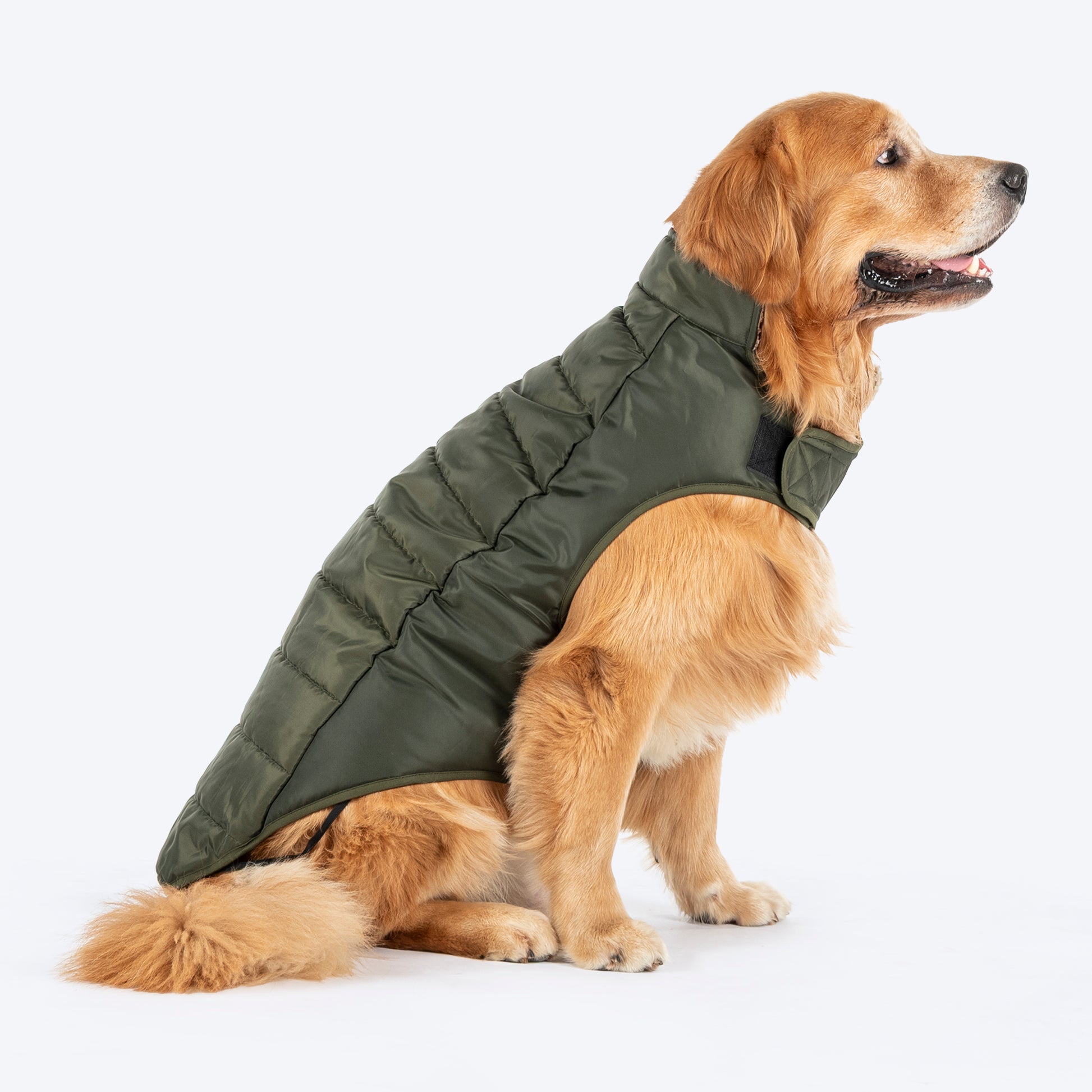 HUFT Puffer Paws Jacket For Big Dog - Green - Heads Up For Tails