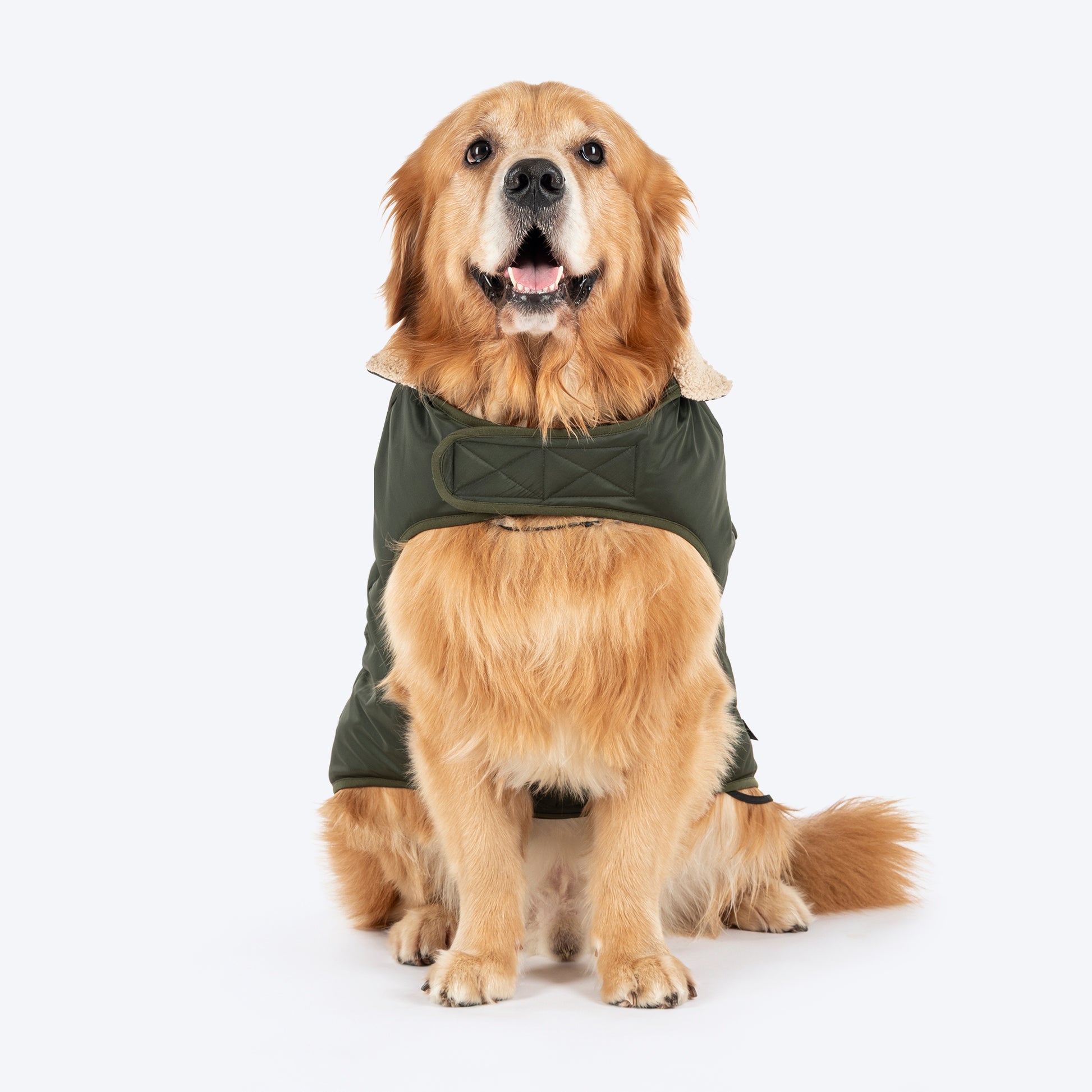 HUFT Puffer Paws Jacket For Big Dog - Green - Heads Up For Tails