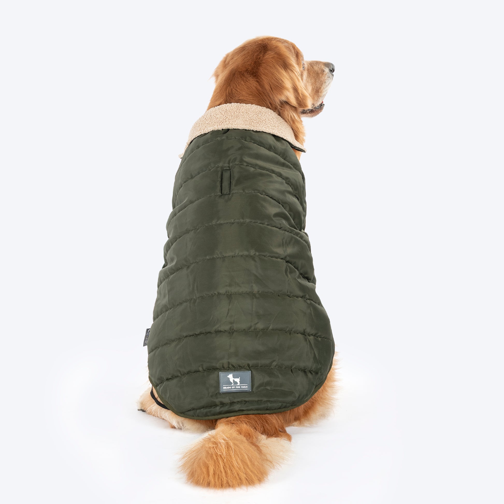 HUFT Puffer Paws Jacket For Big Dog - Green - Heads Up For Tails
