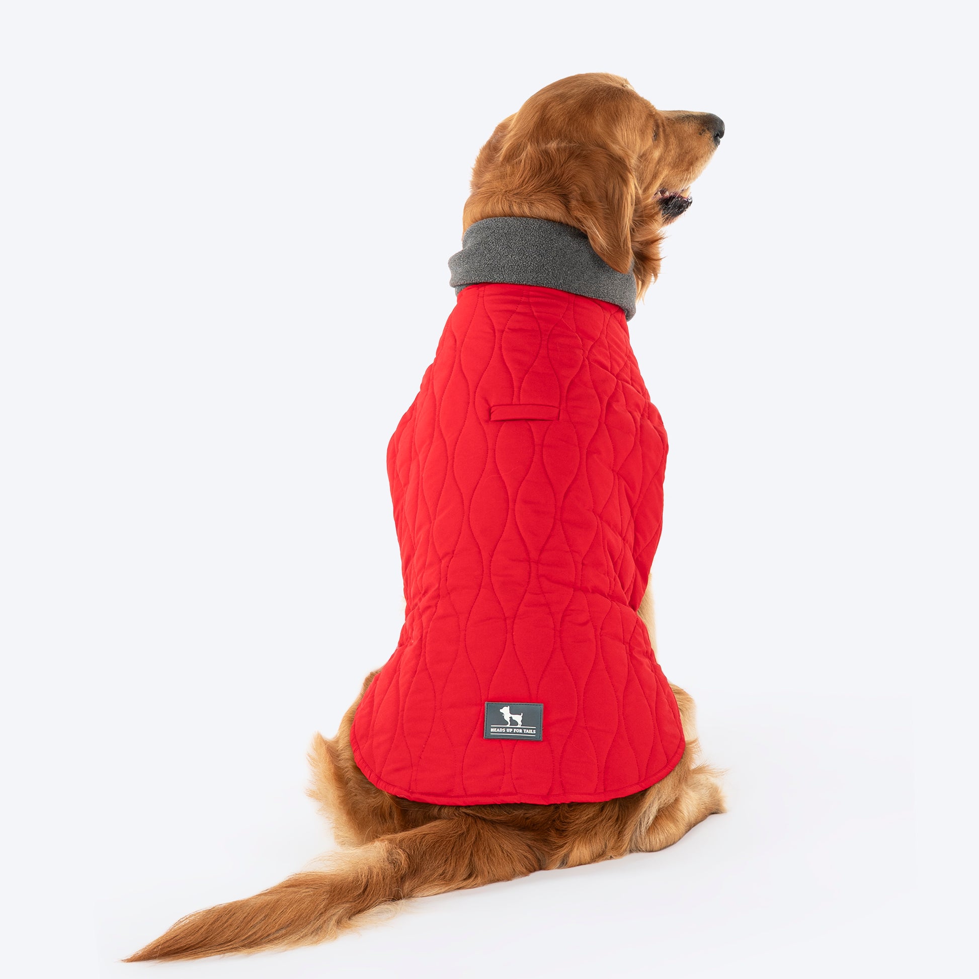 HUFT Charming Cherry Jacket For Big Dog - Red - Heads Up For Tails
