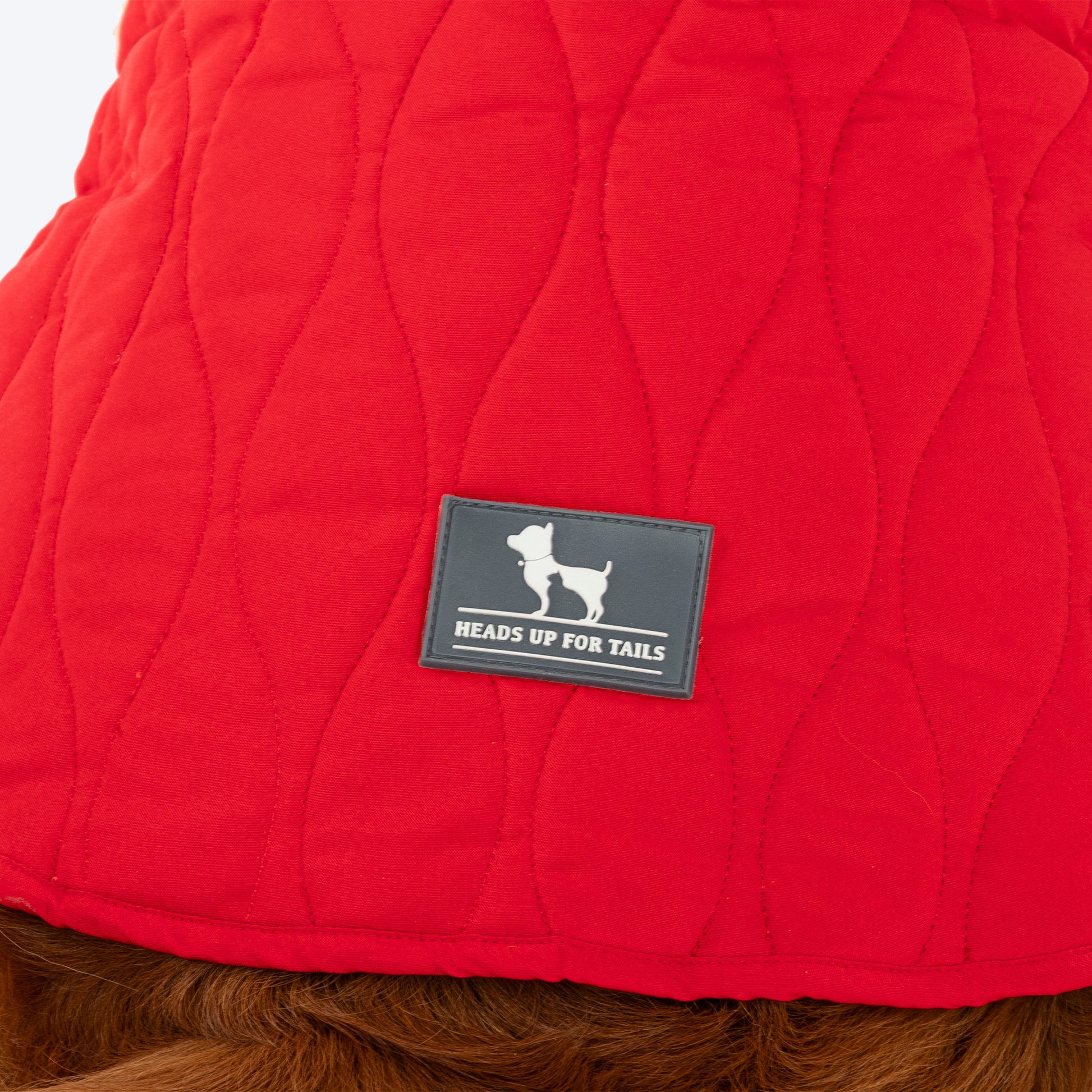 HUFT Charming Cherry Jacket For Big Dog - Red - Heads Up For Tails
