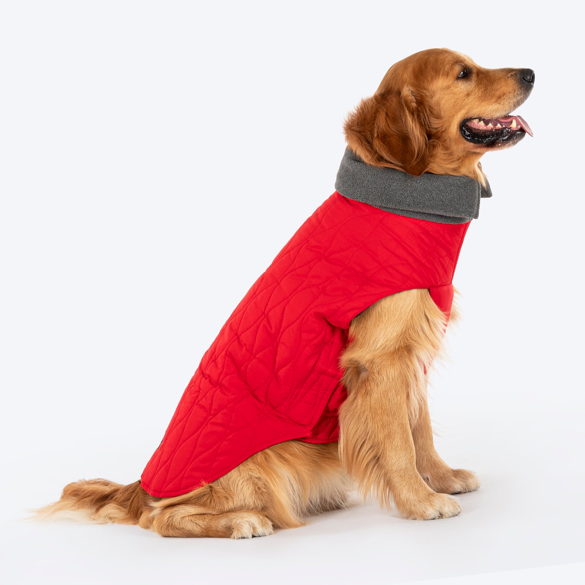 HUFT Charming Cherry Jacket For Big Dog - Red - Heads Up For Tails