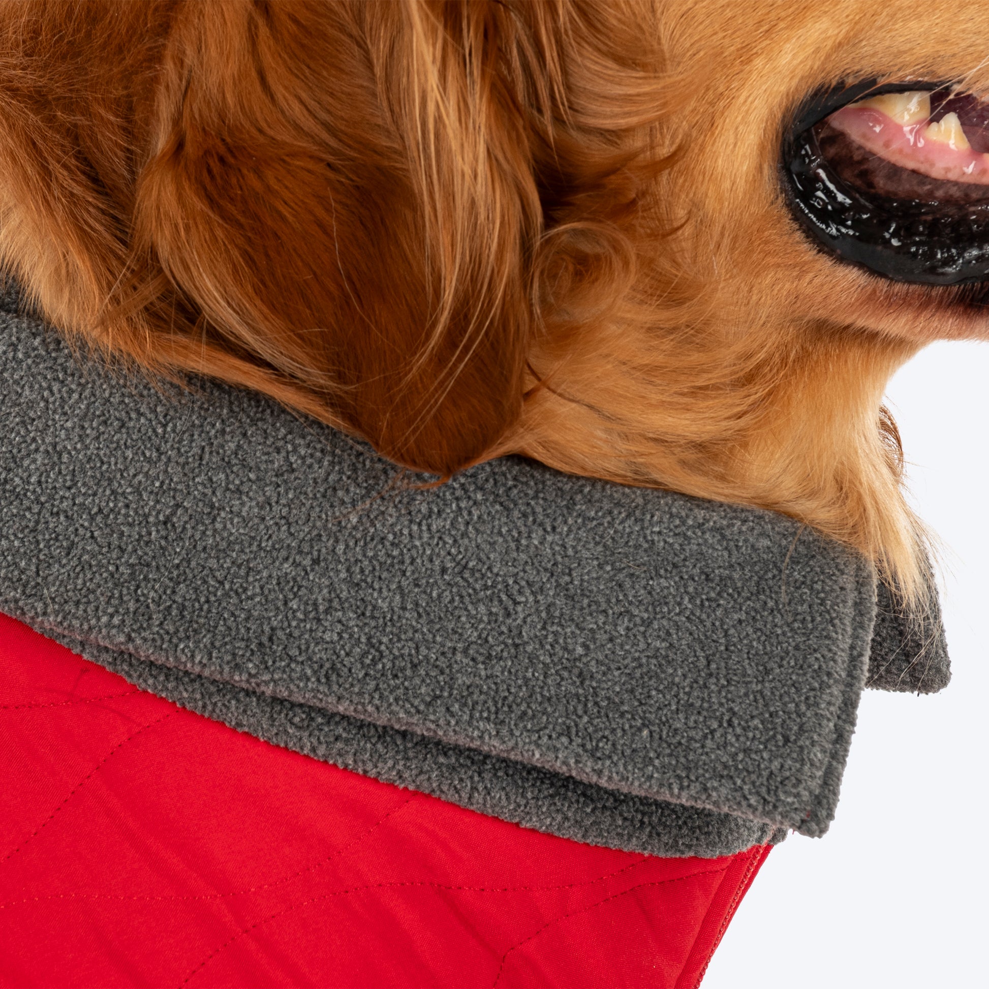 HUFT Charming Cherry Jacket For Big Dog - Red - Heads Up For Tails