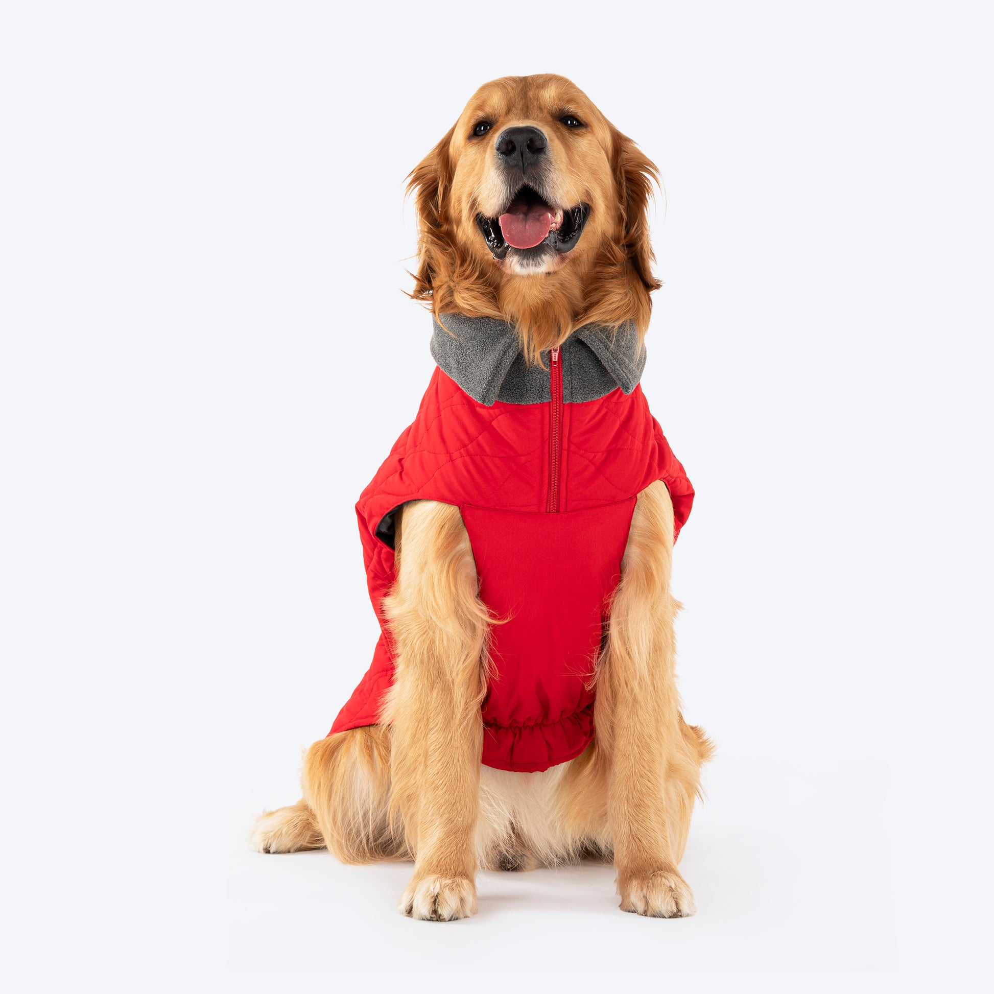 HUFT Charming Cherry Jacket For Big Dog - Red - Heads Up For Tails