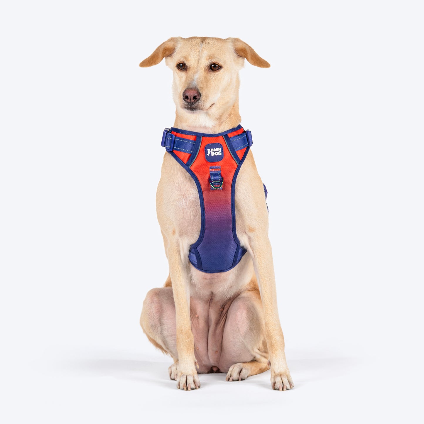 Dash Dog Flow Walk-Along Harness For Dog - Red & Purple - Heads Up For Tails
