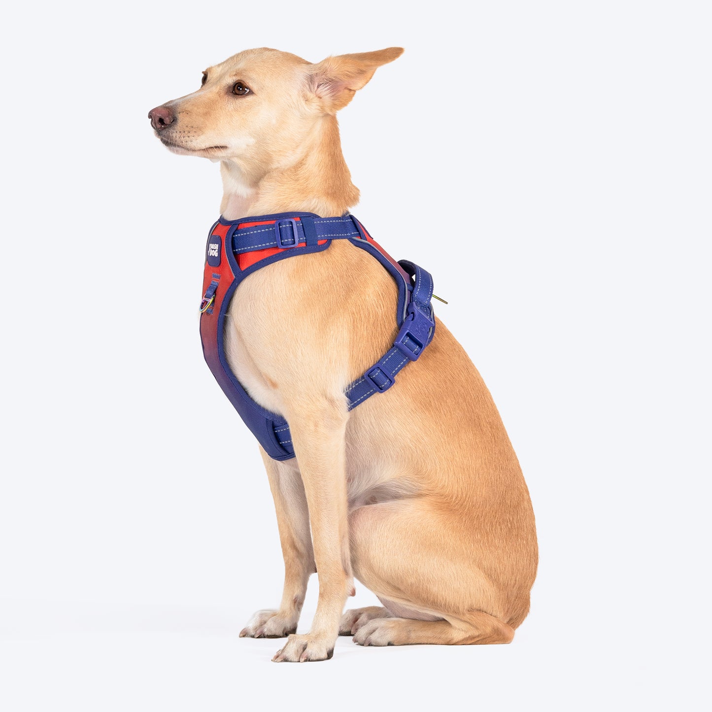 Dash Dog Flow Walk-Along Harness For Dog - Red & Purple - Heads Up For Tails