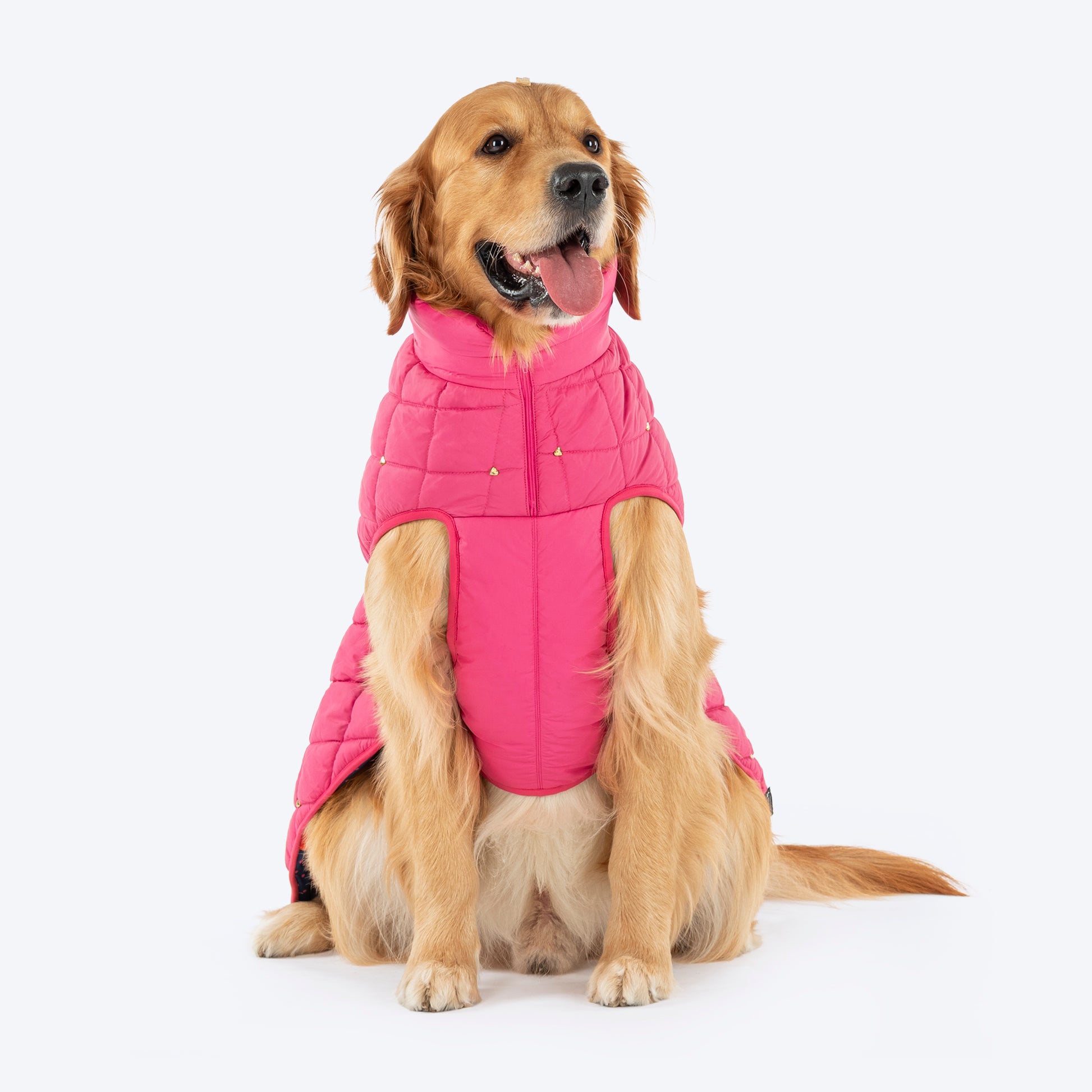 HUFT Starburst Snuggle Jacket For Dog - Pink - Heads Up For Tails