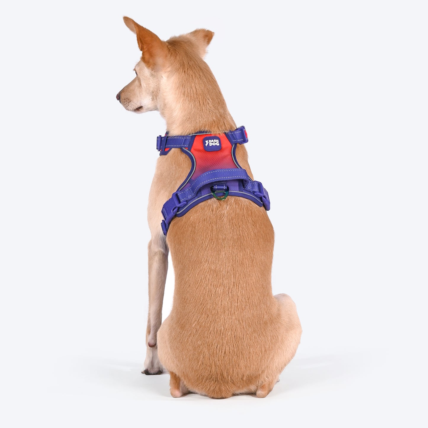 Dash Dog Flow Walk-Along Harness For Dog - Red & Purple - Heads Up For Tails