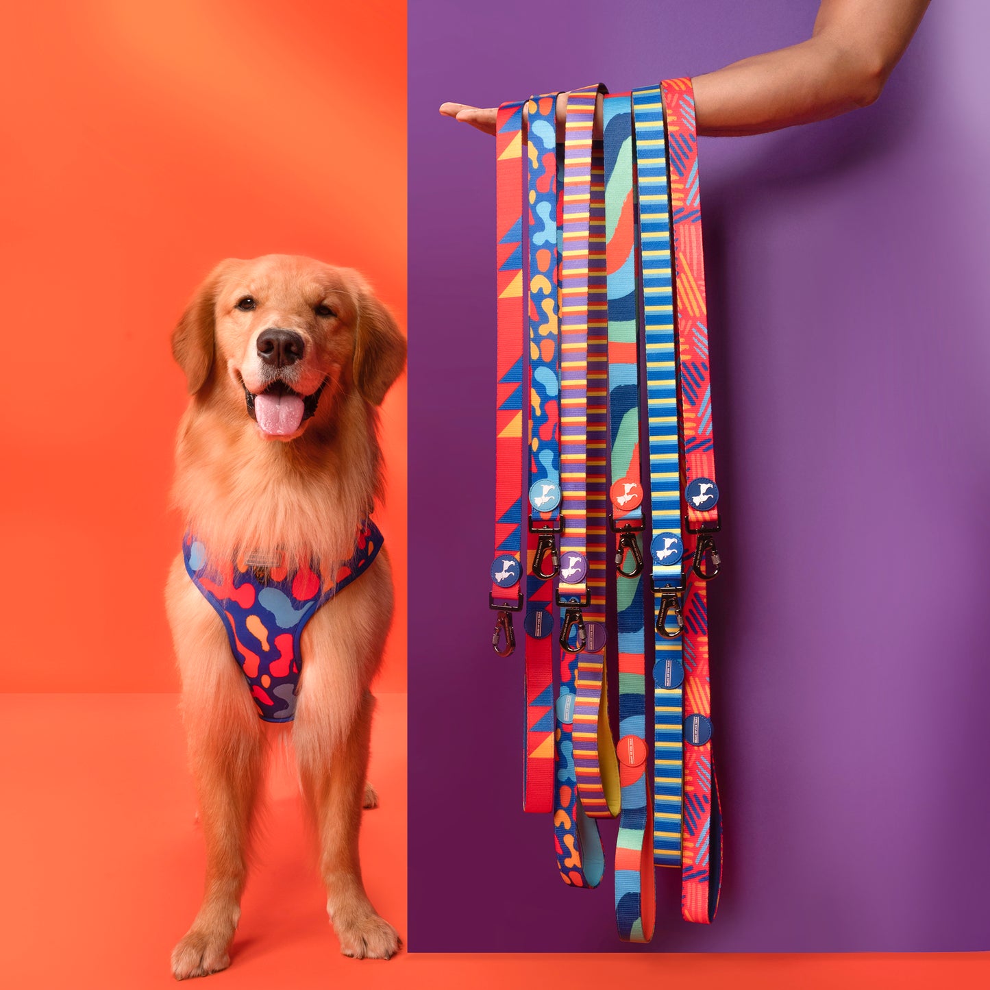 HUFT Blazing Blue Printed Dog Leash - Heads Up For Tails